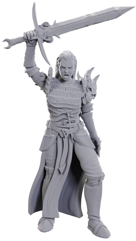 DND UNPAINTED MINIS WV25