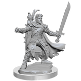 DND FRAMEWORKS WV2 MALE HALF-ELF RANGER