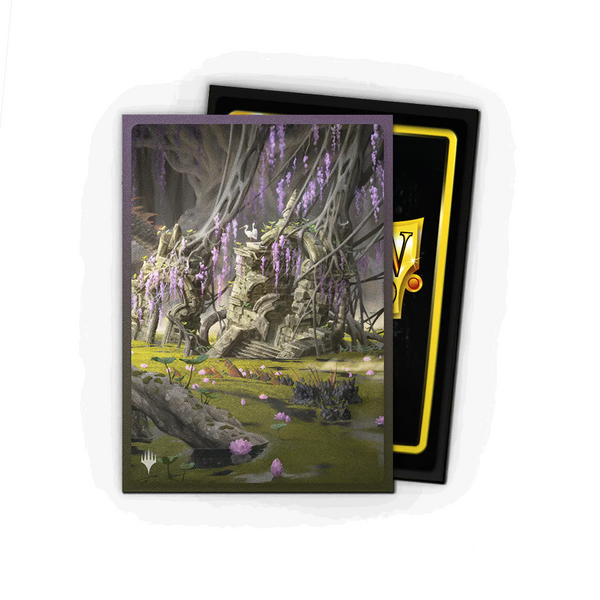 DRAGON SHIELD MAGIC THE GATHERING LANDFALL SERIES VERDANT CATACOMBS