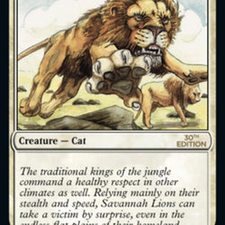 Savannah Lions [30th Anniversary Edition]