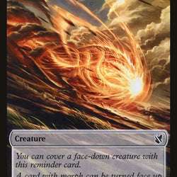 Saproling // Morph Double-Sided Token [Commander 2019 Tokens]