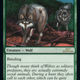 Timber Wolves [30th Anniversary Edition]