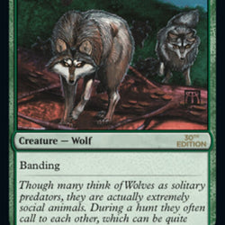 Timber Wolves [30th Anniversary Edition]