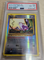 PSA 8 Reverse Holofoil Rattata (66/108) [XY: Evolutions]