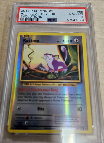 PSA 8 Reverse Holofoil Rattata (66/108) [XY: Evolutions]