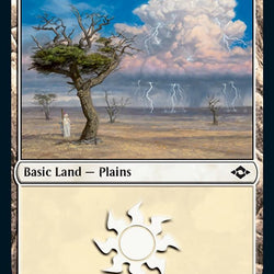 Plains (481) (Foil Etched) [Modern Horizons 2]
