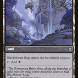 Blackbloom Rogue // Blackbloom Bog [Zendikar Rising]