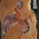 Suntail Hawk (Oversized) [Eighth Edition Box Topper]