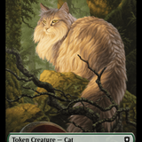 Elemental // Cat Double-Sided Token [Bloomburrow Commander Tokens]