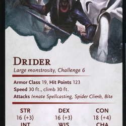 Drider // Drider (AAFR-017) (Borderless) [Adventures in the Forgotten Realms Art Series] Foil