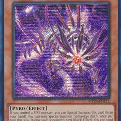 Snake-Eye Birch [MP24-EN112] Prismatic Secret Rare