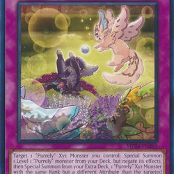 Purrely Sharely!? [MP24-EN383] Common