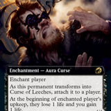 Curse of Leeches // Leeching Lurker (Extended Art) [Innistrad: Midnight Hunt]