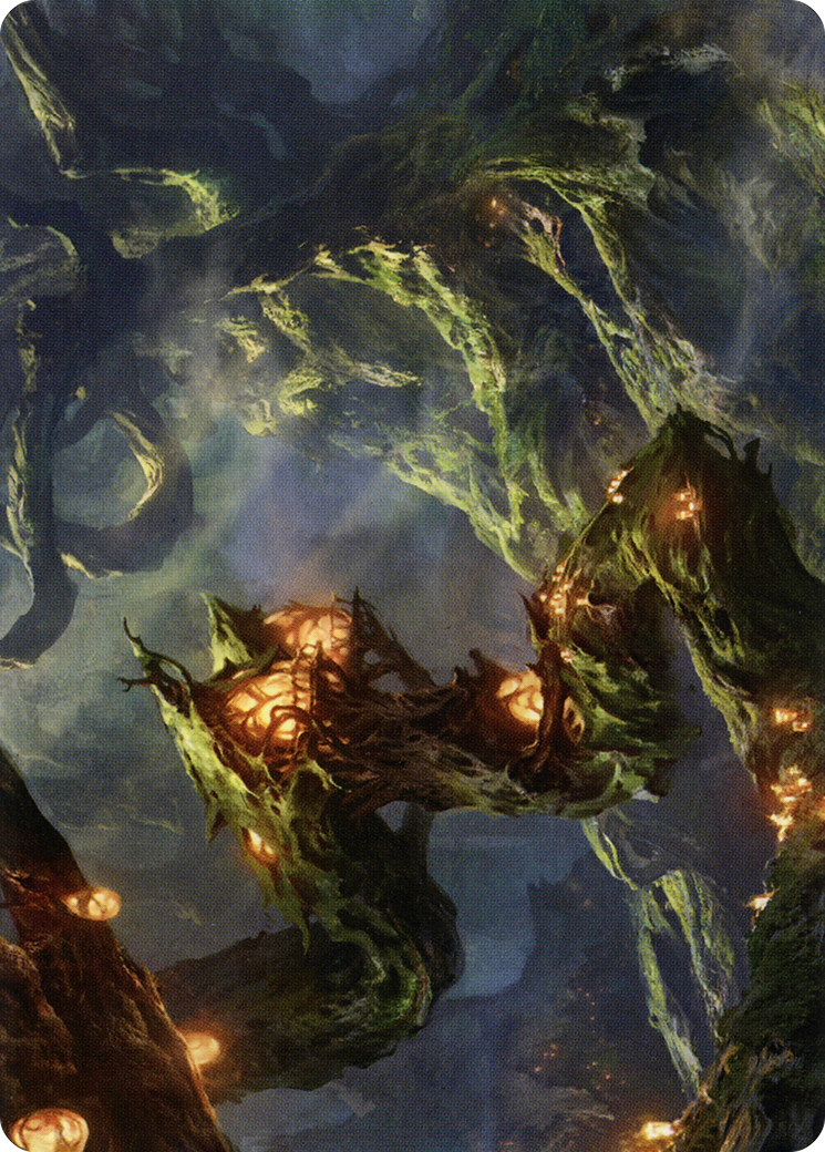 Forest // Forest (ASTX-050) (Borderless) [Strixhaven Art Series]