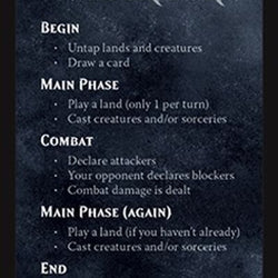 Boros Rules Card [Spellslinger]