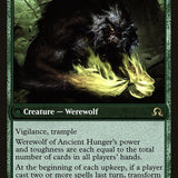 Sage of Ancient Lore // Werewolf of Ancient Hunger [Shadows over Innistrad Prerelease Promos]