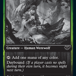 Weaver of Blossoms // Blossom-Clad Werewolf [Innistrad: Double Feature]