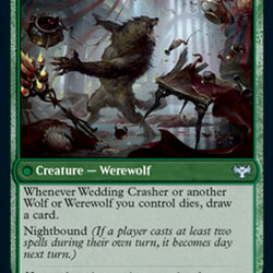Wolfkin Outcast // Wedding Crasher [Innistrad: Crimson Vow]