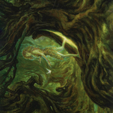 Neverwinter Dryad // Neverwinter Dryad (AAFR-069) (Borderless) [Adventures in the Forgotten Realms Art Series] Foil