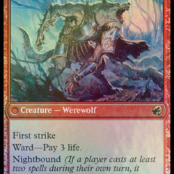 Brutal Cathar // Moonrage Brute [Innistrad: Midnight Hunt Prerelease Promos]