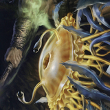 Flumph // Flumph (AAFR-012) (Borderless) [Adventures in the Forgotten Realms Art Series]