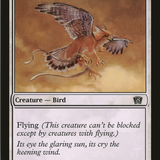 Suntail Hawk (Oversized) [Eighth Edition Box Topper]