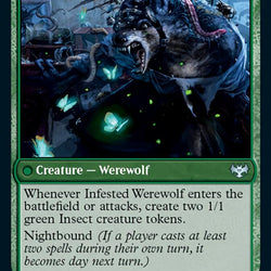Infestation Expert // Infested Werewolf [Innistrad: Crimson Vow]