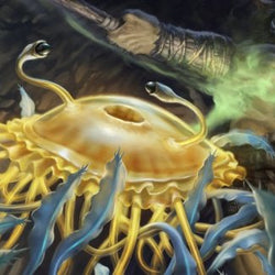 Flumph Art Card [Dungeons & Dragons: Adventures in the Forgotten Realms Art Series]