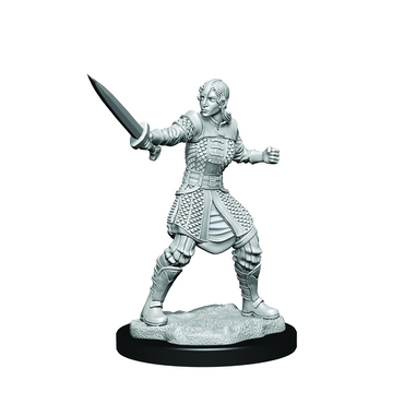 CR UNPAINTED MINIS WV1  HUMAN EMPIRE FIGHTER FEMALE