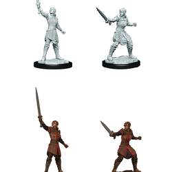 CR UNPAINTED MINIS WV1  HUMAN EMPIRE FIGHTER FEMALE