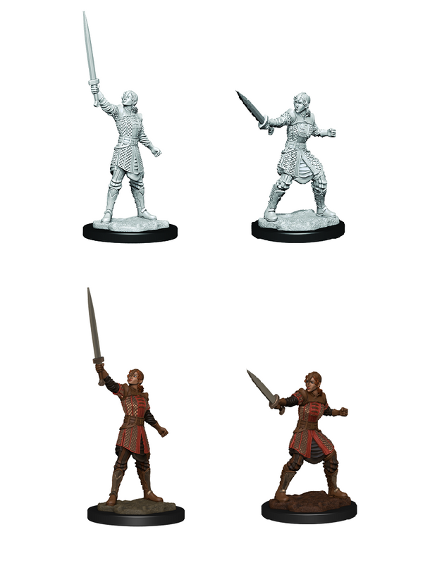 CR UNPAINTED MINIS WV1  HUMAN EMPIRE FIGHTER FEMALE