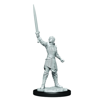 CR UNPAINTED MINIS WV1  HUMAN EMPIRE FIGHTER FEMALE