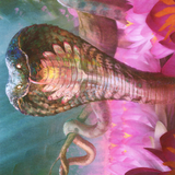 Lotus Cobra // Lotus Cobra (AZNR-071) (Borderless) [Zendikar Rising Art Series]