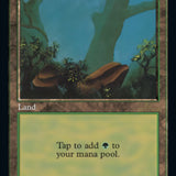 Forest (Retro) (592) [30th Anniversary Edition]