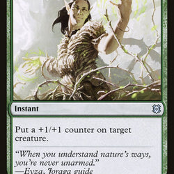 Vastwood Fortification // Vastwood Thicket [Zendikar Rising]