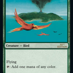 Birds of Paradise [30th Anniversary Edition]