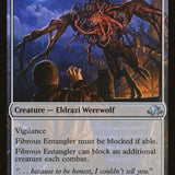 Tangleclaw Werewolf // Fibrous Entangler [Eldritch Moon]