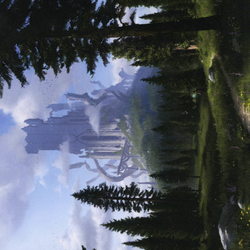 Forest // Forest (AAFR-061) (Borderless) [Adventures in the Forgotten Realms Art Series] Foil
