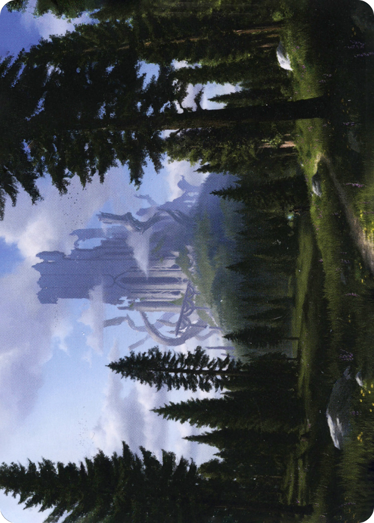 Forest // Forest (AAFR-061) (Borderless) [Adventures in the Forgotten Realms Art Series] Foil