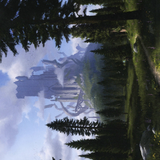 Forest // Forest (AAFR-061) (Borderless) [Adventures in the Forgotten Realms Art Series]