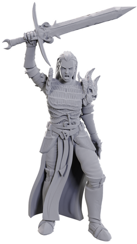 DND UNPAINTED MINIS WV25