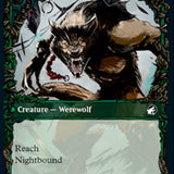 Bird Admirer // Wing Shredder (Showcase Equinox) [Innistrad: Midnight Hunt]