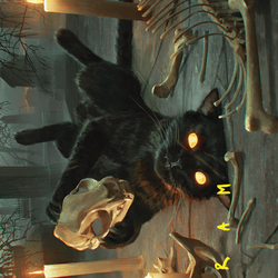 Nine-Lives Familiar // Nine-Lives Familiar (AFDN-008) (Borderless) [Foundations Art Series] Foil