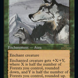 Aspect of Wolf (Retro) [30th Anniversary Edition]