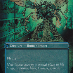 Delver of Secrets // Insectile Aberration (Borderless) [Secret Lair: From Cute to Brute]