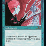 Lifetap (Retro) [30th Anniversary Edition]