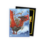 DRAGON SHIELD SLEEVES DUAL MATTE THE RAID 100CT