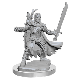 DND FRAMEWORKS WV2 MALE HALF-ELF RANGER