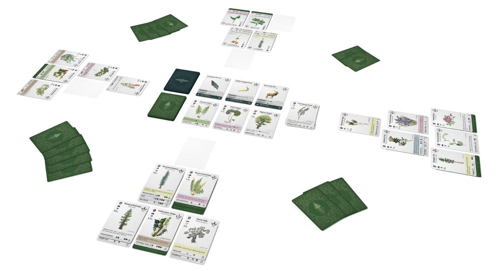 REFOREST: PLANTS OF THE PACIFIC NORTHWEST COAST