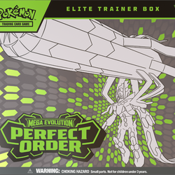 PKMN Perfect Order ETB